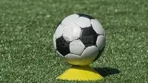 问鼎娱乐下载 资讯 101452 eml