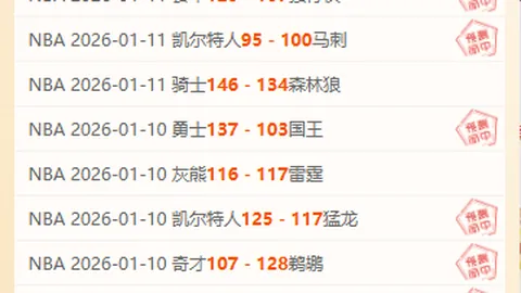 图赫尔：注重阵容搭配而非单纯最强；福登或与贝林联手登场